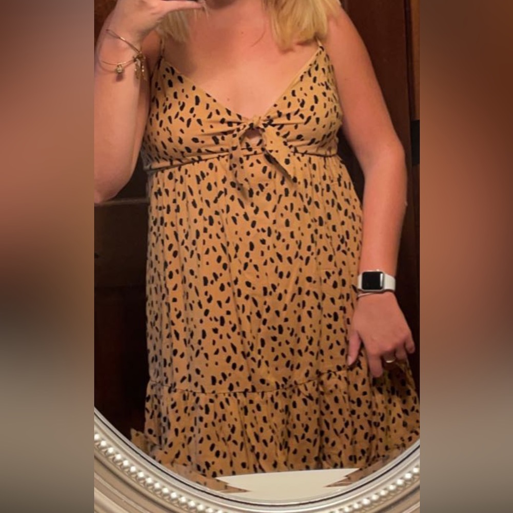 Francesca’s Animal Print Dress